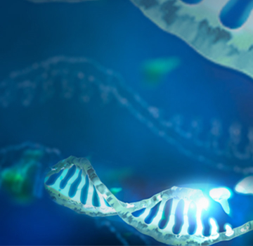 Header haematologie
