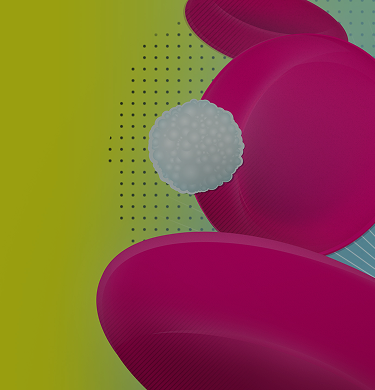 Hematology Banner 