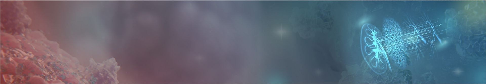 Chronische Niereninsuffizienz - header
