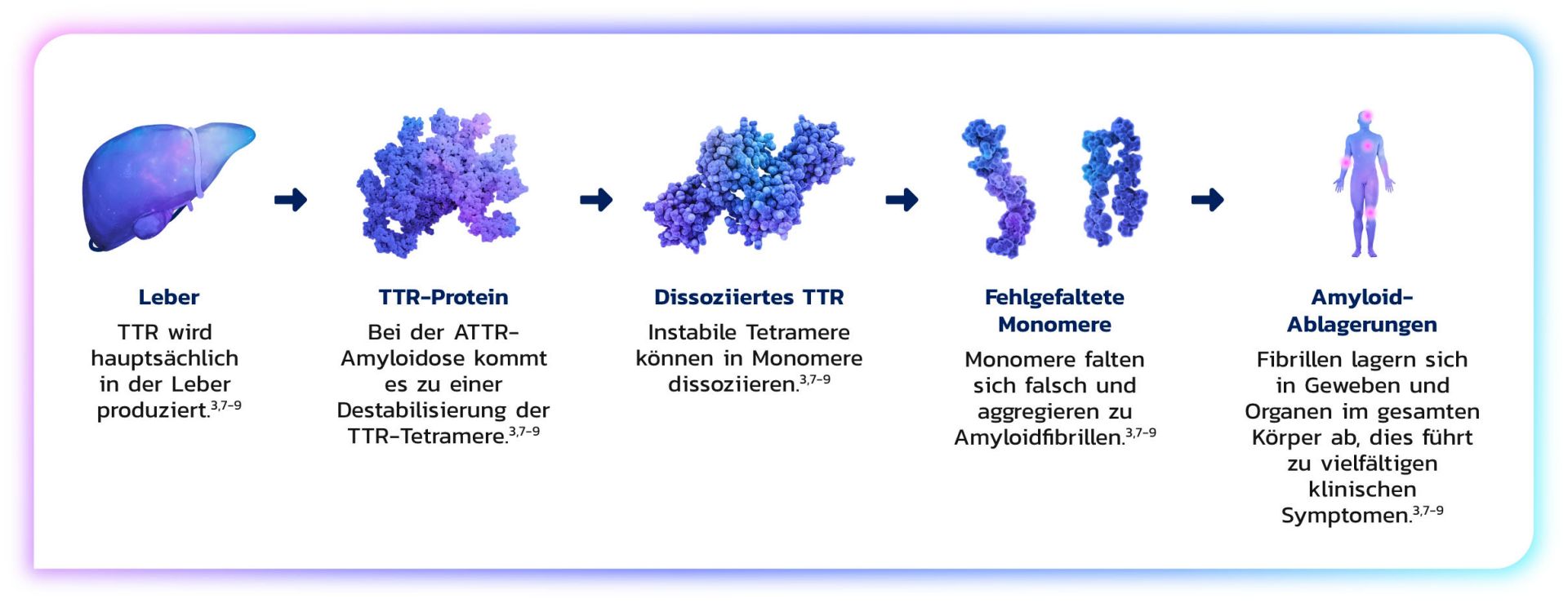 ATTR Amyloidose Krankheits prozess Image Thumbnail