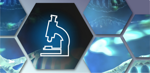 Diagnose - Hämatologie