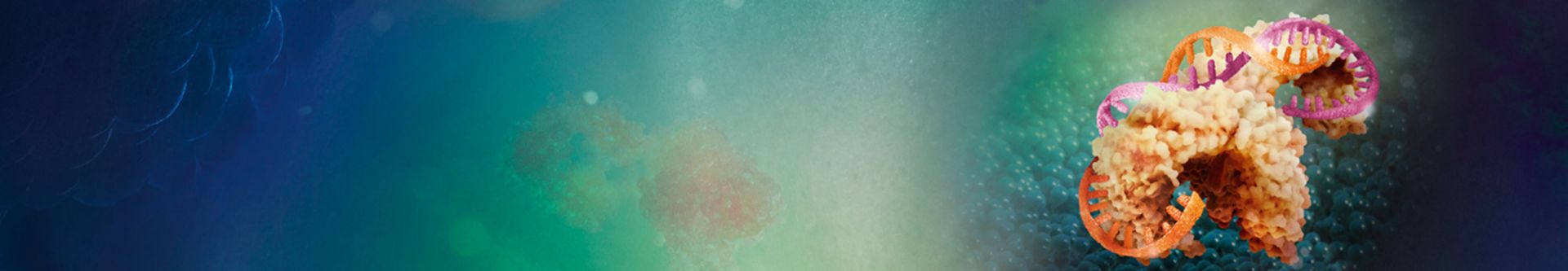 Ashtma header