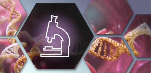Klinische und labortechnische Methoden zur SLE-Diagnose