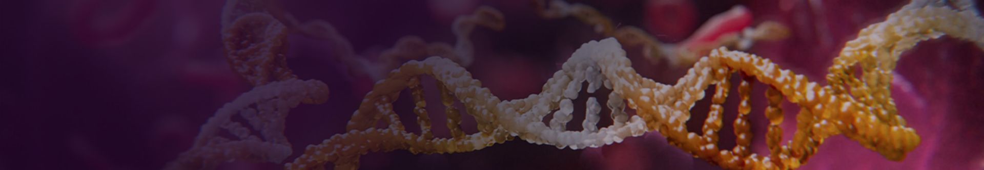 Lupus - header