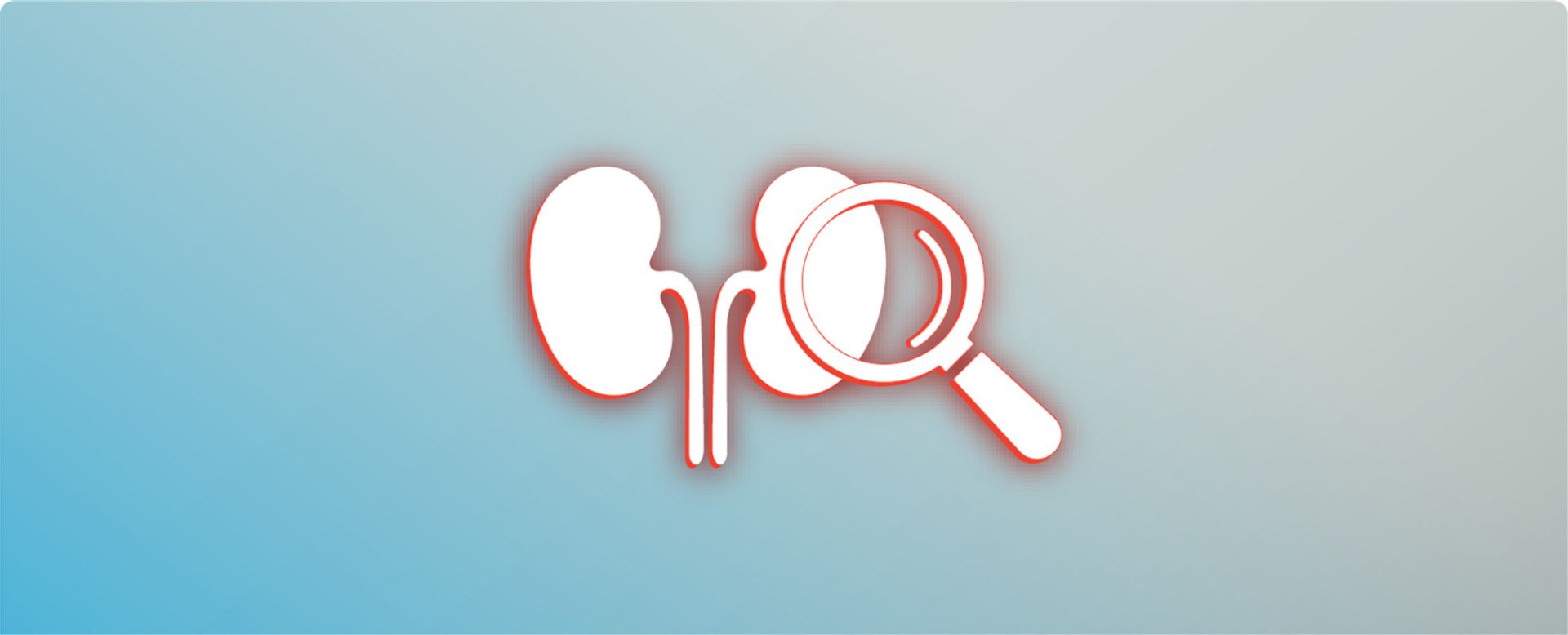 Kidney Icon Representing the Early CKD Detection